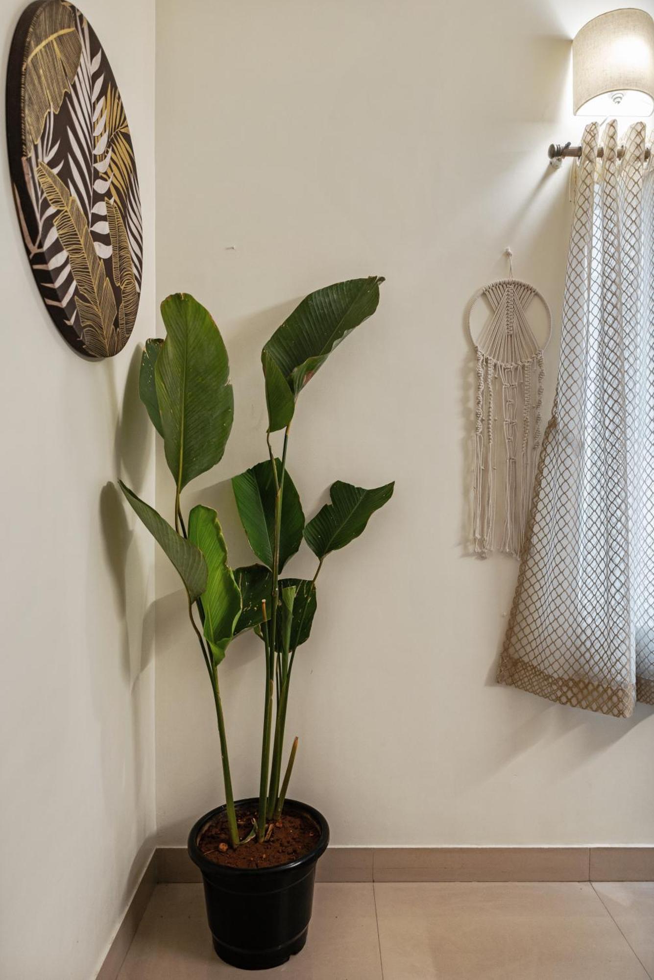 فيلا House Of 2 Tress Penthouse بنغالور المظهر الخارجي الصورة